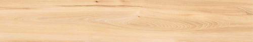 KAJARIA CERAMIC KASHMIR WILLOW 1200X200mm